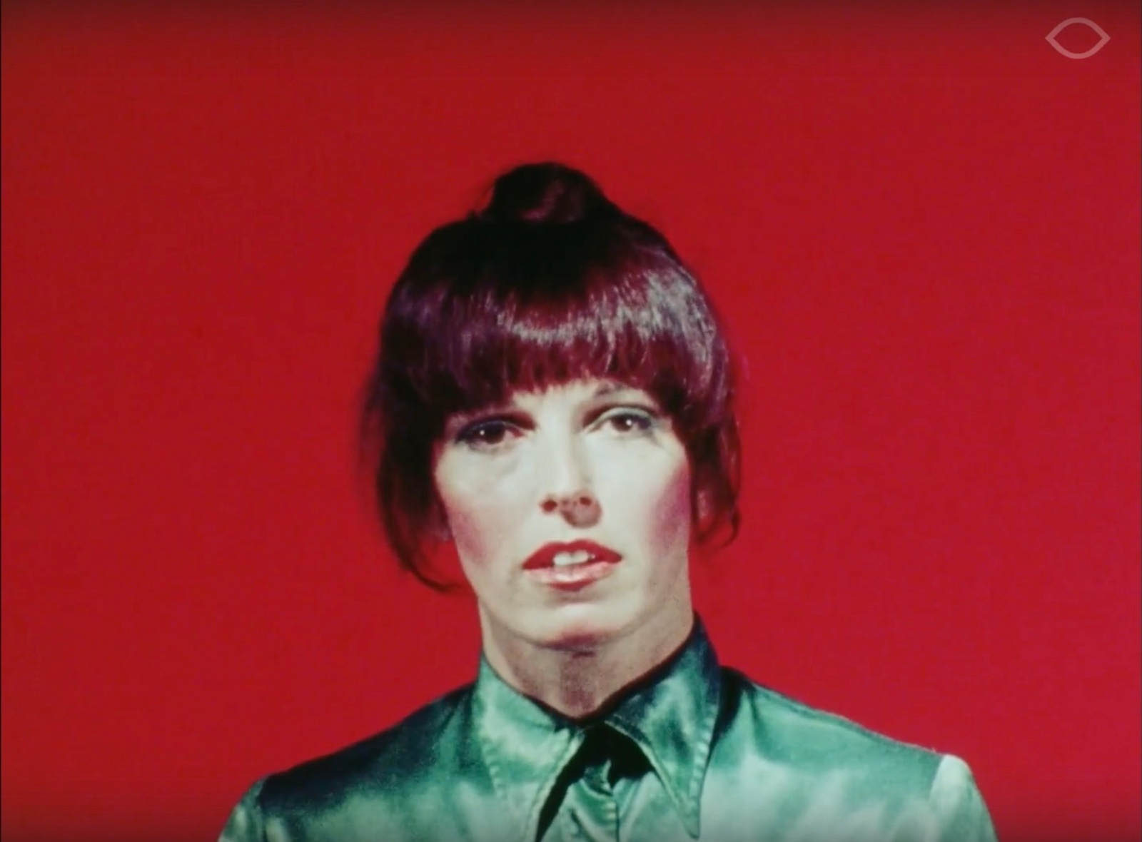 Hollywoods Leni Riefenstahl 1